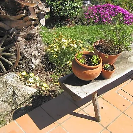 Bed and Breakfast Casa 